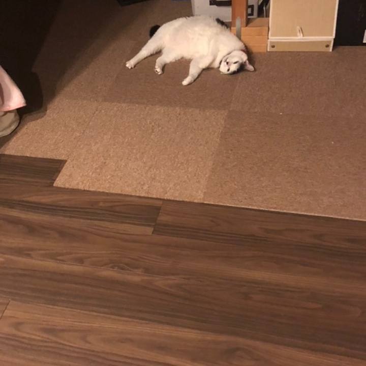 138763f3 6493 477b 8823 da3cf9bd0bf8 1558360314227