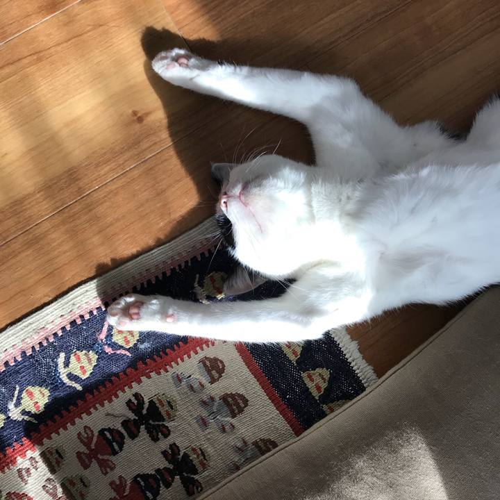 138764cf a5f9 4839 9aef 1d0f257934af 1511784350788