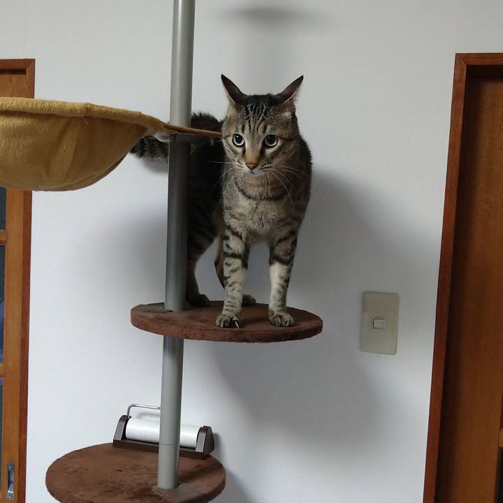 138791e9 0b3b 4bee b70c f83afc350391 1655309608201