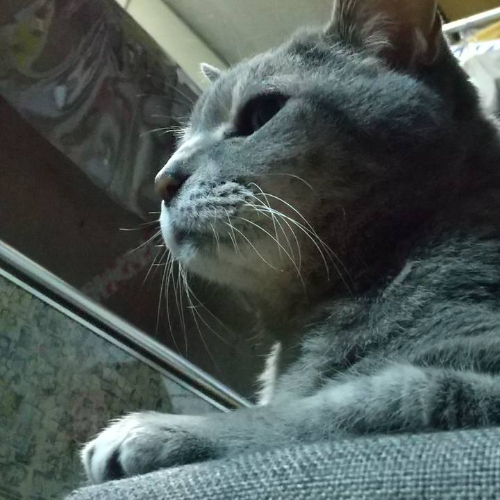 13879eeb 6577 4fe0 83b9 f84dd80309cf 1679784155181