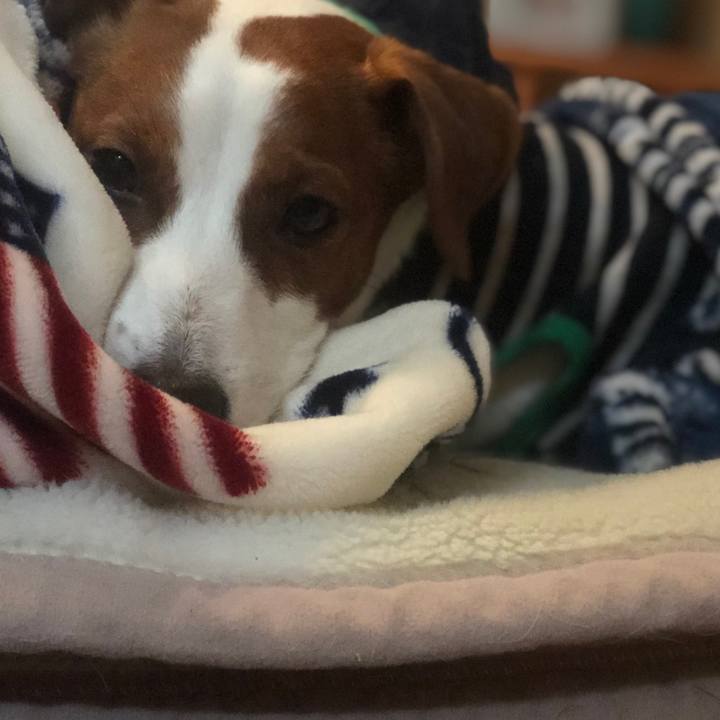 1387af5b 8bec 4f6f a595 114f59ea7c4f 1583412332383