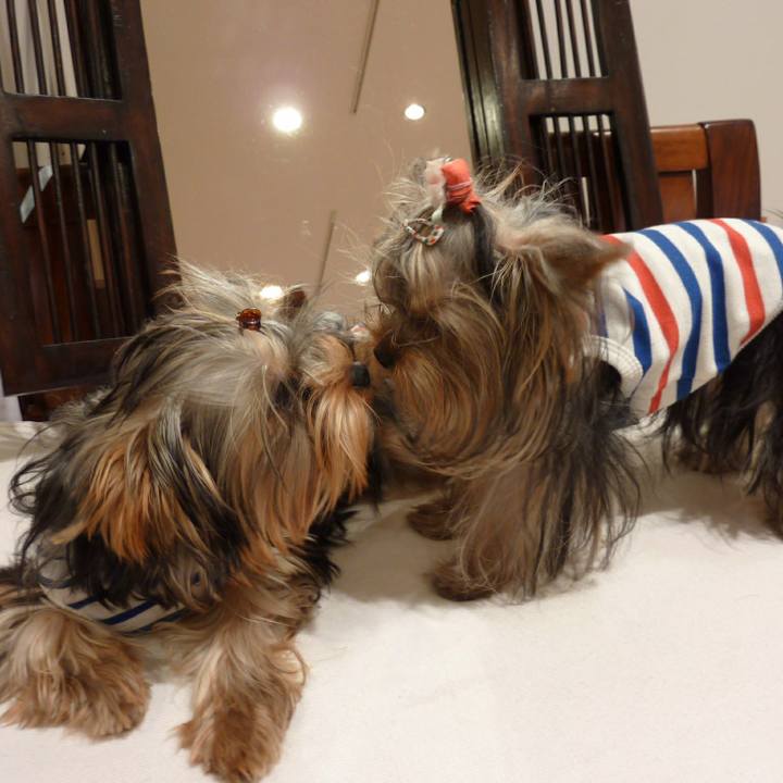 1387b0db b503 436c 8731 206d80b6d11c 1619340405736