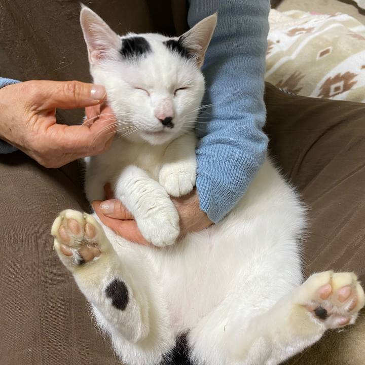 1387b29b 9860 4738 9b80 3292ae7ad01d 1580558343641