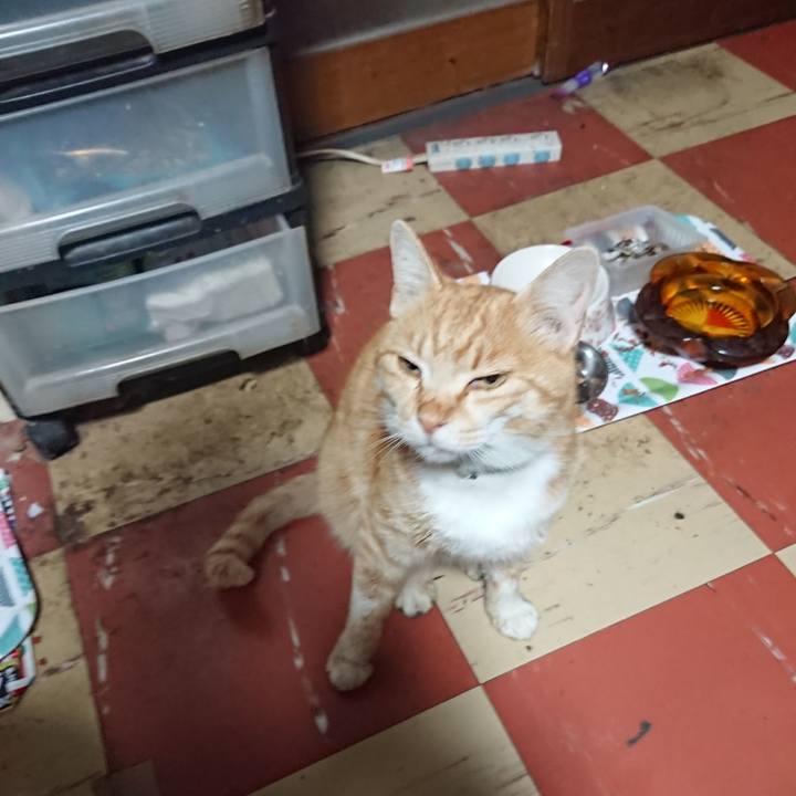 1387b3b9 4b7c 484c 86ab 3dc78f090b76 1588277662626