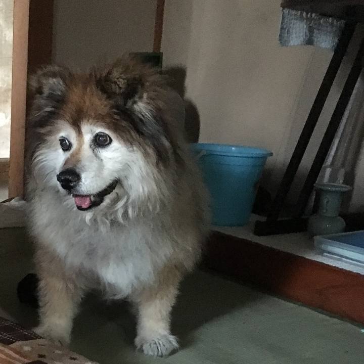 1387d33f 6196 4897 a8fe 6ca45c79aa08 1584920603281