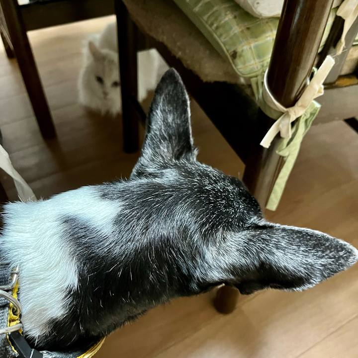 1387fe52 9e15 4eb7 8538 f03c550a4cef 1641119317217