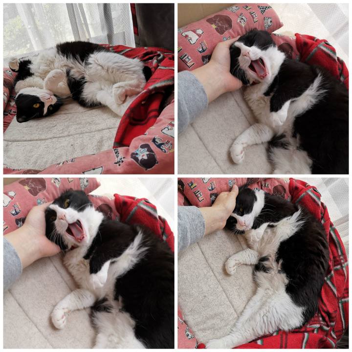 13884b6a 428e 4d94 8eab 03f2560ad7b7 1588666029169