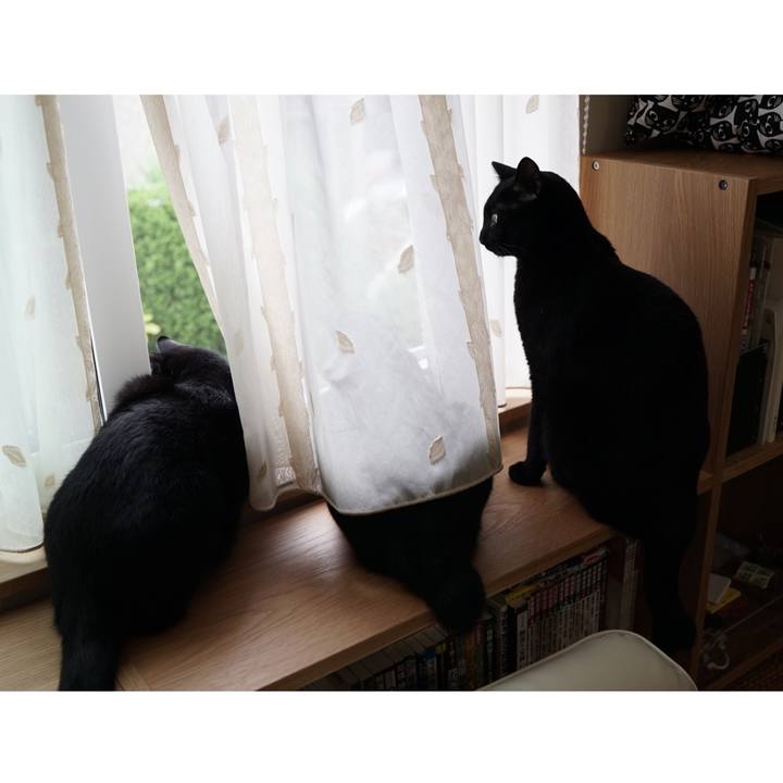 1388639f 2c50 4499 ad31 14fb08fe0a29 1563925810879