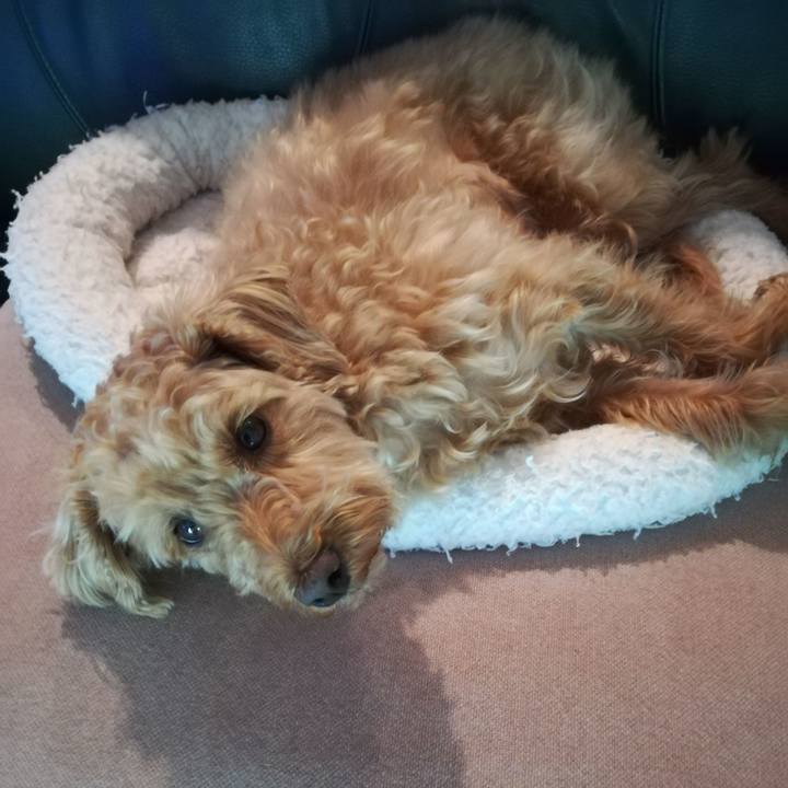 13889327 e133 443a 9deb 5bebf9b8edf8 1558654429681