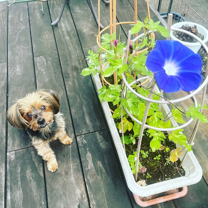 1388ad0a 5c67 4529 8c76 b0df6d8e327f 1689200185731