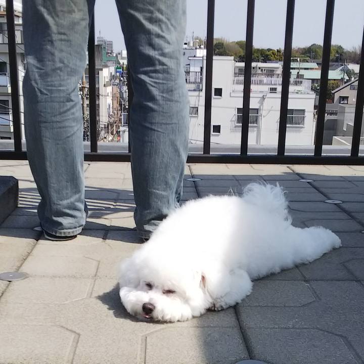 1388c7d1 0b97 4de5 bd4a c42d7bfc8eb8 1522571582923