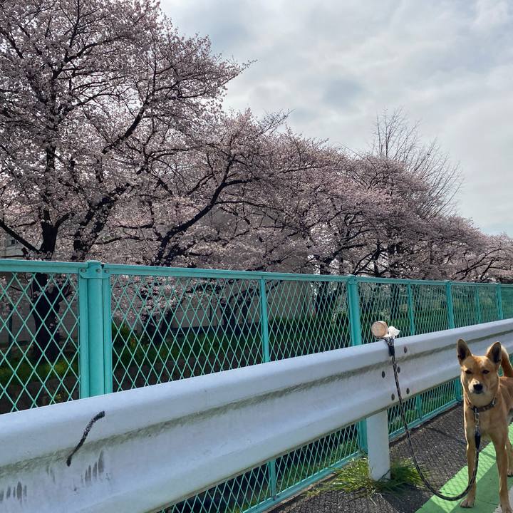 1388d2c2 b0dc 4918 8536 1d1175d36837 1648604275485