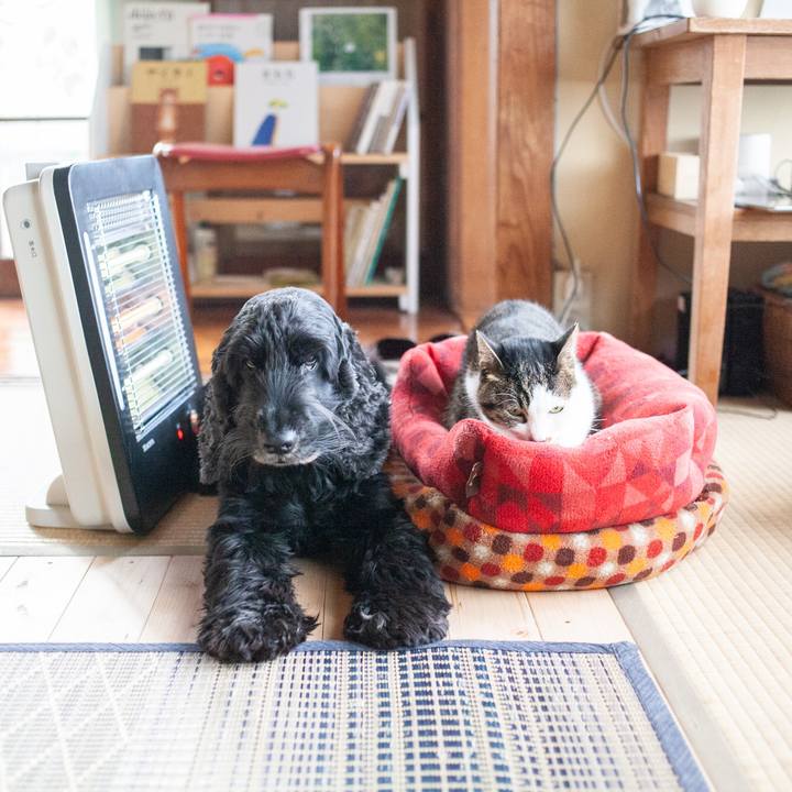 1388d3b7 7772 4124 95d0 2970c5ab5291 1575358388104