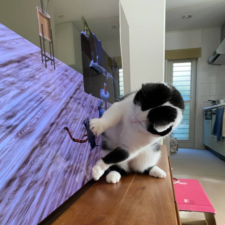 1388d7cd 4bd1 4972 b2c3 a5a3d3fadee6 1770158778857