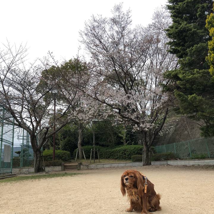 13892775 c052 4241 954c f6d12ed54f42 1616220264764