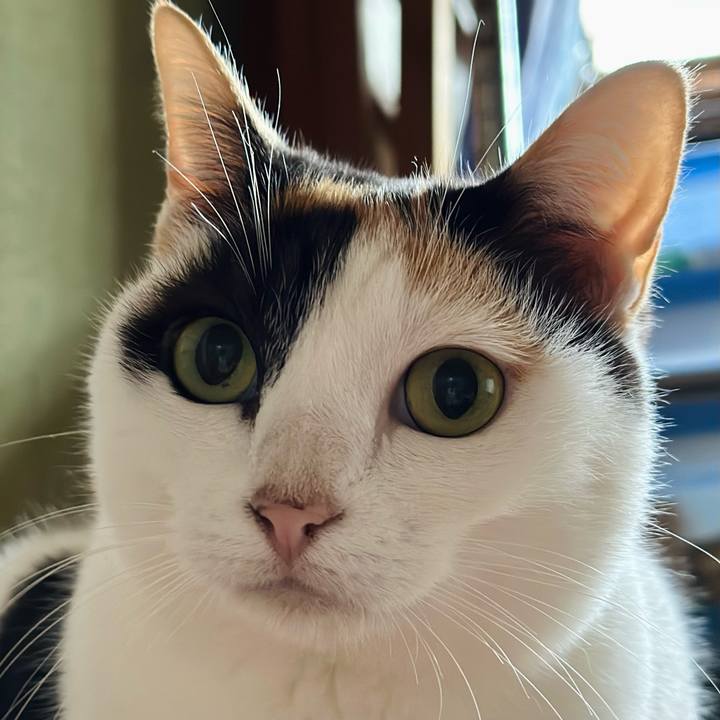 13892db7 a633 4228 bff4 415debc9f1f8 1669079929168