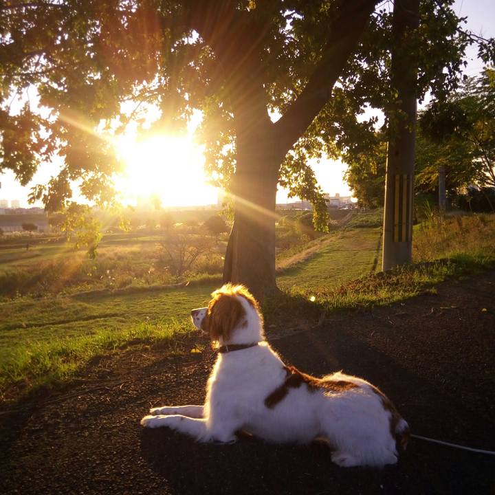 13894ef0 ef04 47fe 8d88 497fe68dbc0c 1510560223493