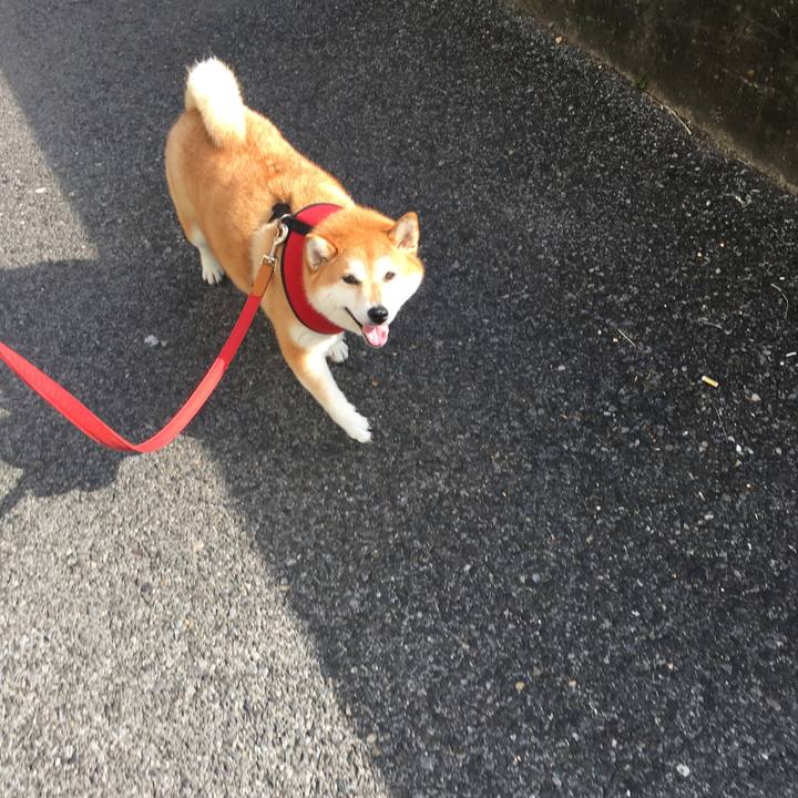 13897006 0e9e 4ccb adab eb8b10d73ce4 1598744115024