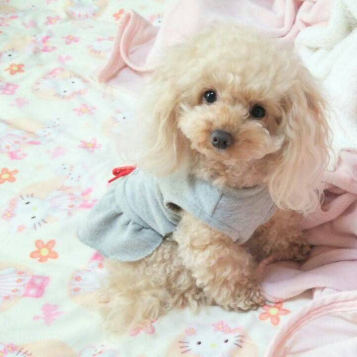 13898906 38f3 44af b201 e191b679d7aa 1541117519837