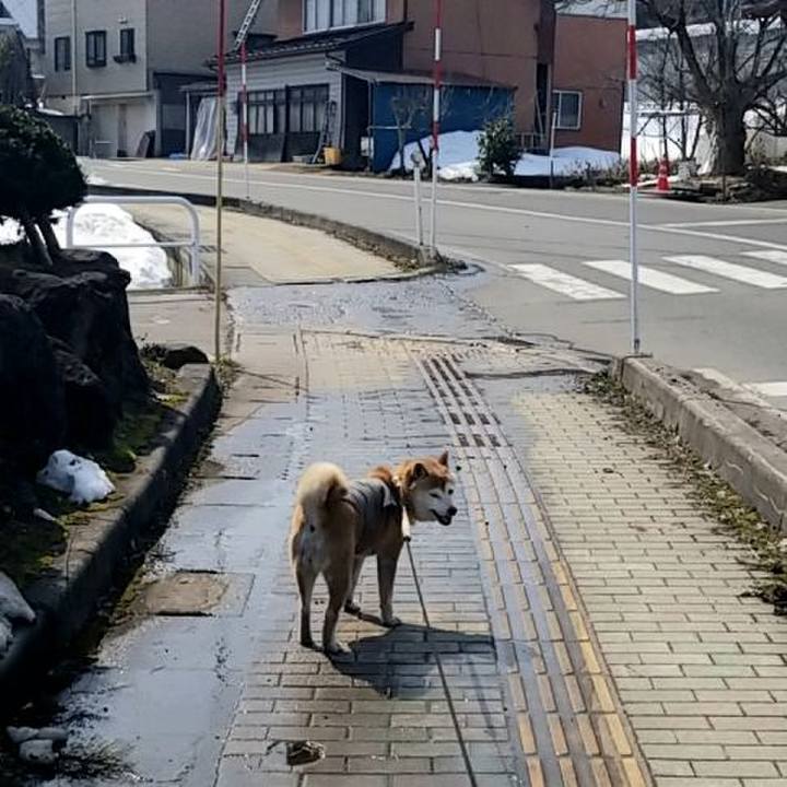 13898f8d dc4c 4669 9e94 868cd2b3fbaa 1678269424262