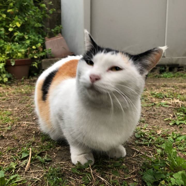 138992d2 d949 422d 8c92 ecbe0ae97dc5 1604701659813