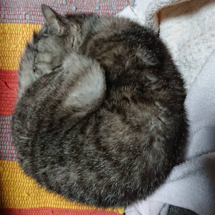 13899490 a9b3 4561 af54 cd3987cd3445 1569010709059