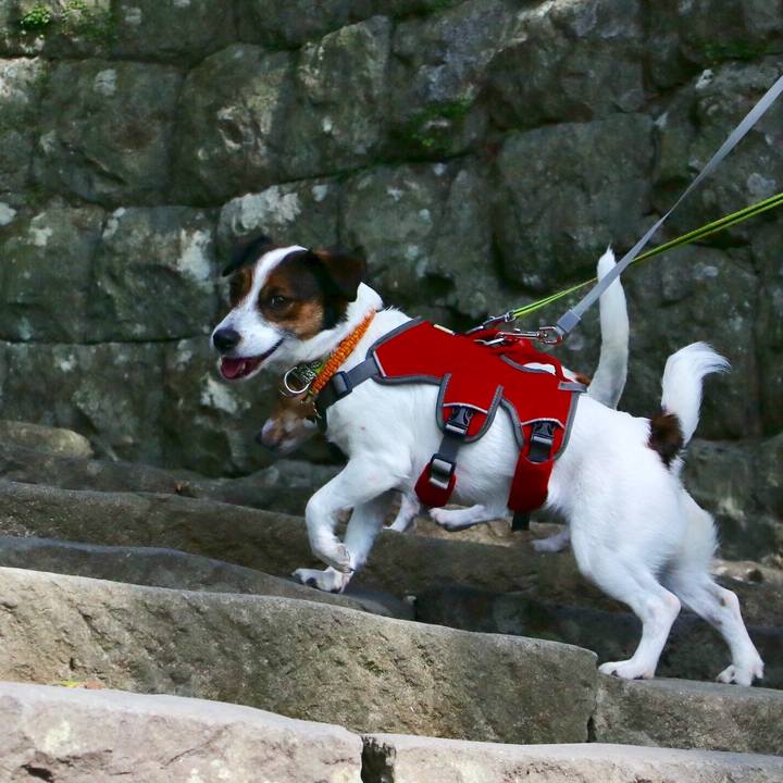 1389ba23 b61f 4b39 a061 5addd36ef66a 1550895403901