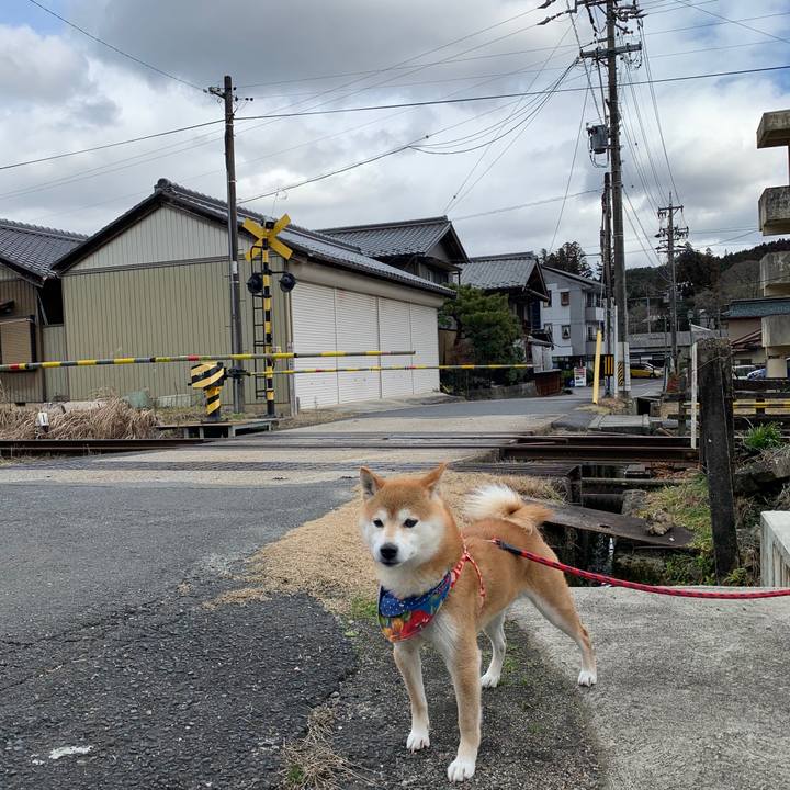 1389df0f 0678 4bc8 82dc 40c865a1d3bf 1580380479570