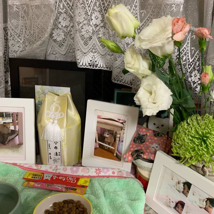 1389e48d b0ac 4e8f b135 87553b81562d 1554668154013