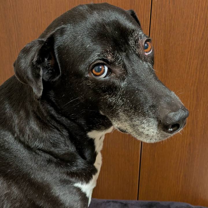 1389e870 41b8 4809 823f f19f2a317373 1736035928849