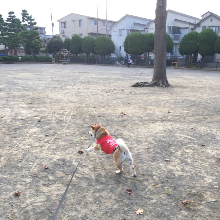 138a1558 c6a3 4b01 80c6 f32fd2318f4f 1569624405081