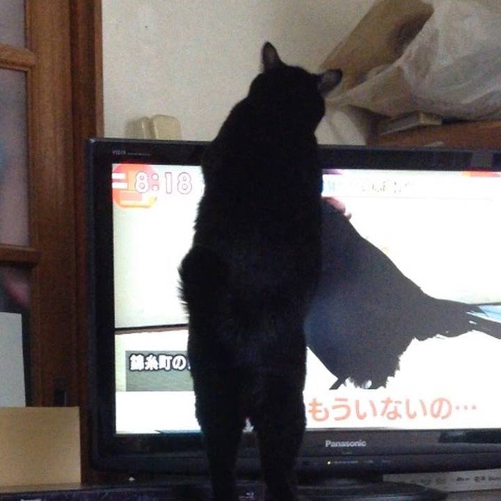 138a15f8 92b1 4b9e 8ad0 7d053959e1c3 1540258648897