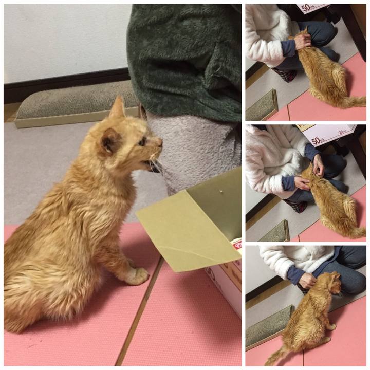 138a2641 39df 4279 a0f5 cd97425d1376 1608800210476