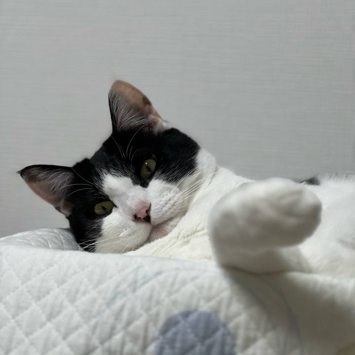 138a2643 1f59 4462 ad82 9a006e14ecbb 1680619522974