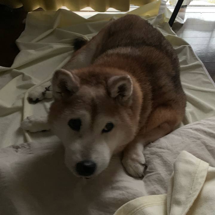 138a3edc 57b3 4c18 929b 1c81287bf3a7 1665097479499