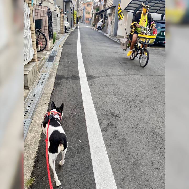 138a5c43 9291 46ed ac2a a061264ba78c 1625004581340