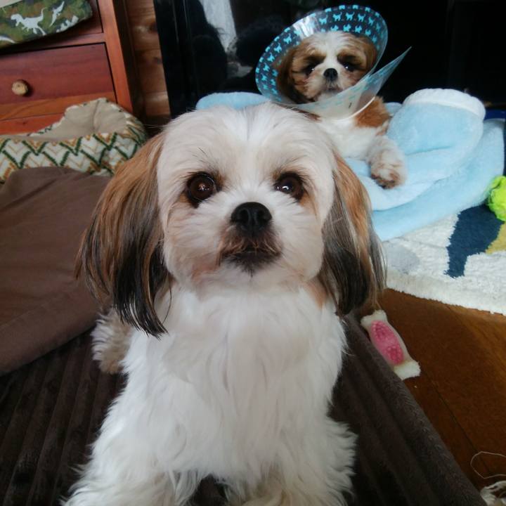 138a8c02 3094 4b4d 9542 a0b40758f459 1542514785685