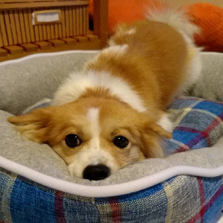 138abf18 44b8 45f3 b0c5 aee0a58c41c4 1539173283180