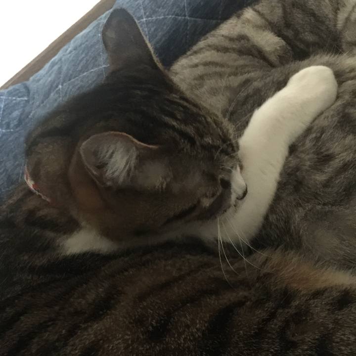 138ac052 5343 4ff9 9d6d 21bd618abd84 1553908912165