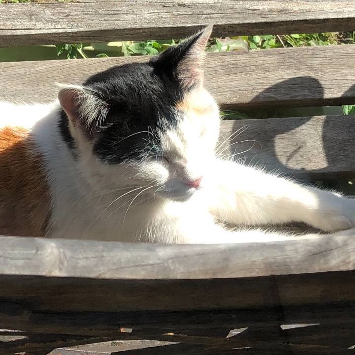 138aeda3 8566 4e9e 811a 456ee58ca56f 1603447461158