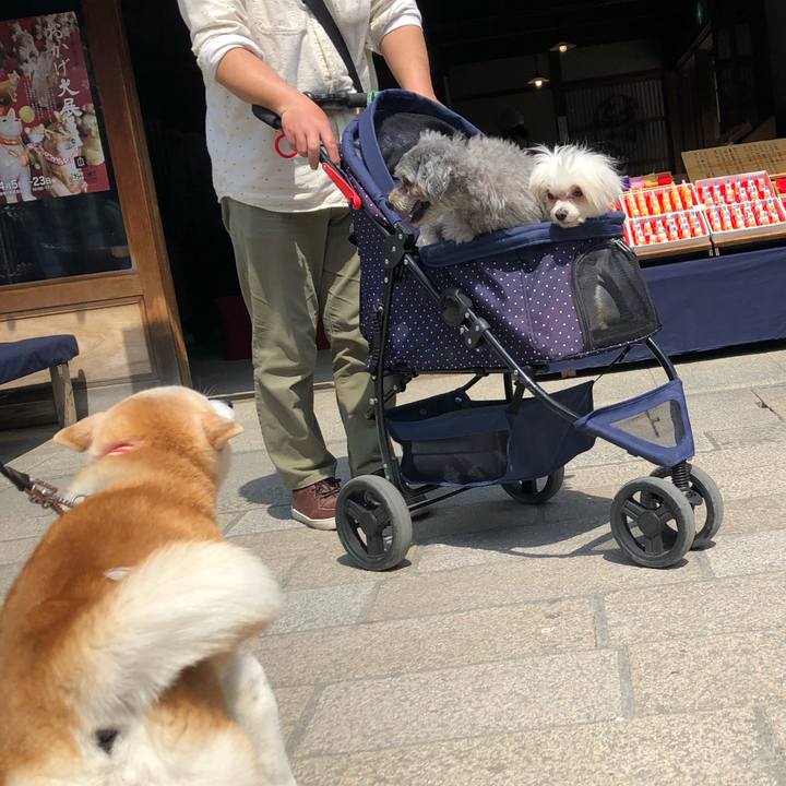 138b2303 8cbd 4b47 93aa adee33328a05 1554686569569