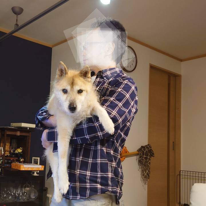 138b46a3 d6fd 499c af89 e31ff8ba7315 1652704421621