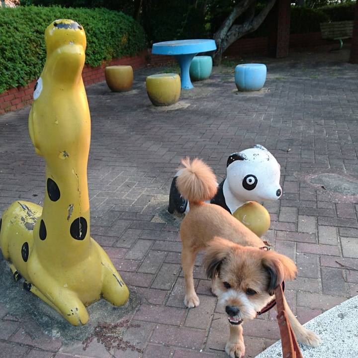 138b6418 7750 4cc7 b069 2f1d743b6111 1533418921848