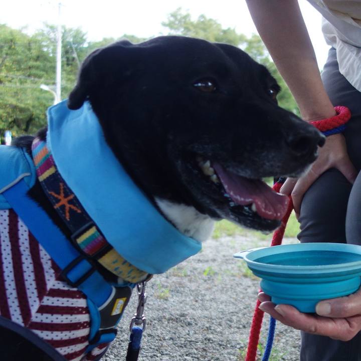 138b923b 16ac 45b5 a9fb 06cf9ce59f66 1629331684142