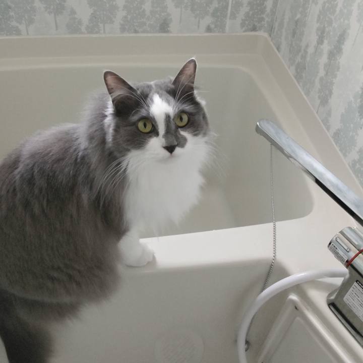 138bc217 bce0 42c4 beaf 2ec99f354f8e 1621058662638