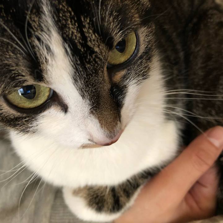 138bdb61 8088 4c38 b9cc 771e606cf9a1 1517883282559