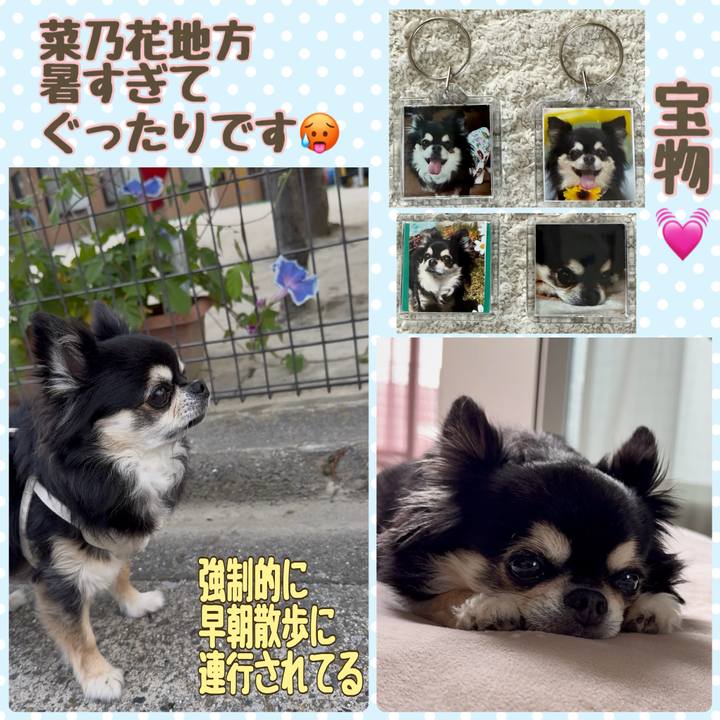 138c5c84 158d 4f26 83b8 4884c8c2885b 1750469308633