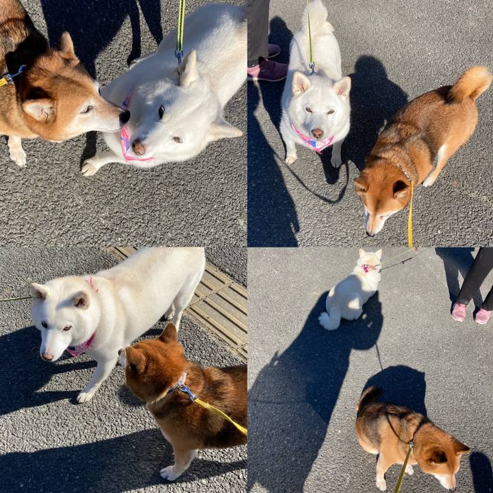 138c6bcd 6753 4a69 8a48 854d7a89f3df 1642816418782