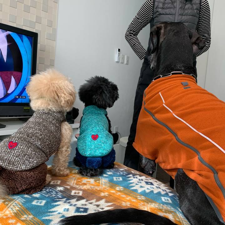 138c6d9e 49c7 417a 962c 8bf1aded935a 1576372239966