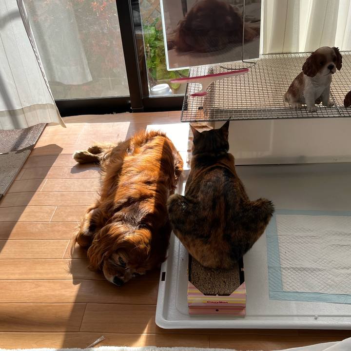 138c763f 0429 4ed9 96cf 30c01c699f16 1702168828409